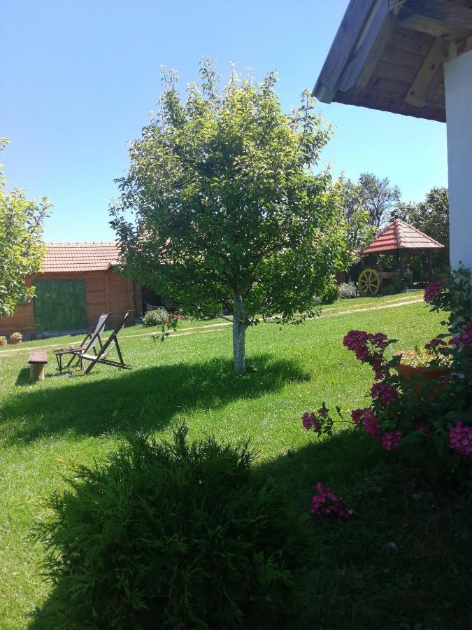 Camp Viljamovka Apartment Kremna Екстериор снимка