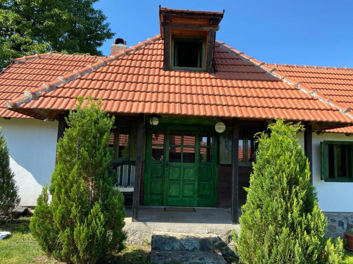Camp Viljamovka Apartment Kremna Екстериор снимка