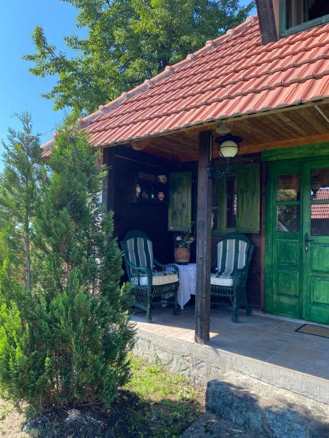 Camp Viljamovka Apartment Kremna Екстериор снимка