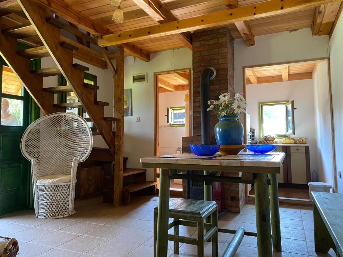 Camp Viljamovka Apartment Kremna Екстериор снимка