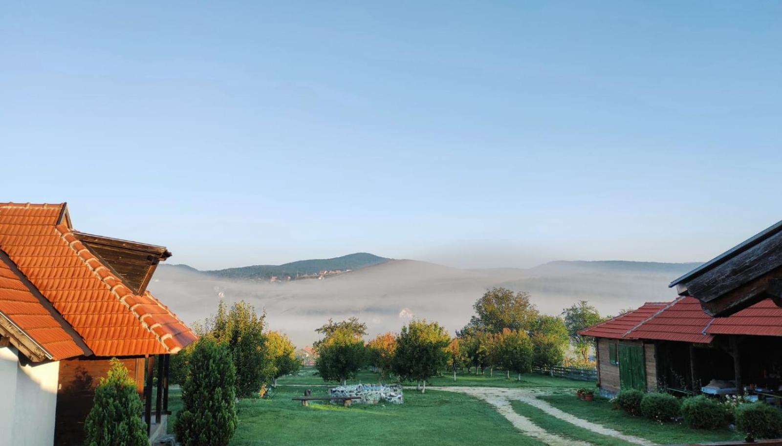 Camp Viljamovka Apartment Kremna Екстериор снимка