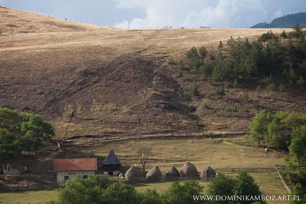 Camp Viljamovka Apartment Kremna Екстериор снимка