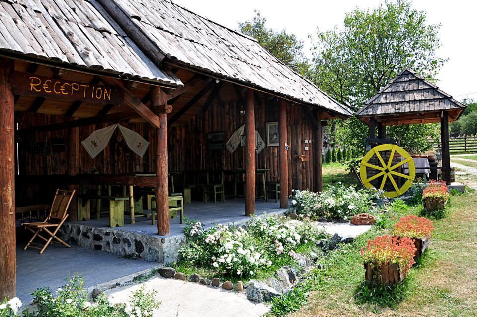 Camp Viljamovka Apartment Kremna Екстериор снимка