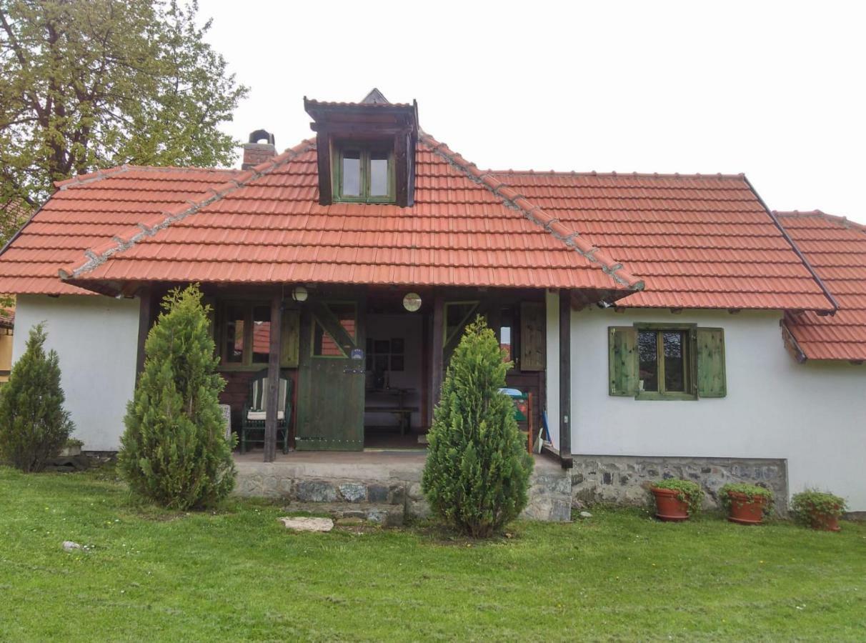 Camp Viljamovka Apartment Kremna Екстериор снимка