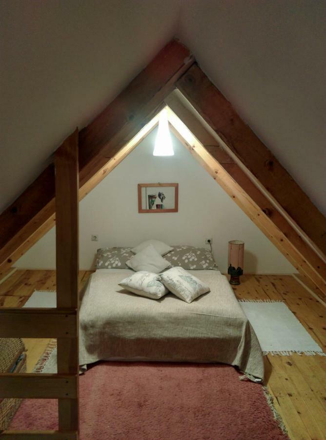 Camp Viljamovka Apartment Kremna Екстериор снимка